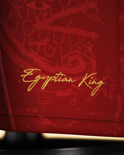 Egyptian King Jersey (Away Edition)